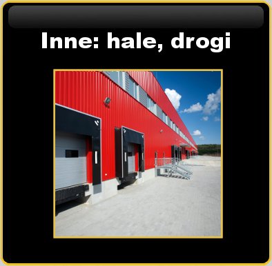 hale i drogi